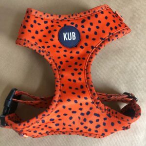 KUB Original Harness – Burnt Orange 1