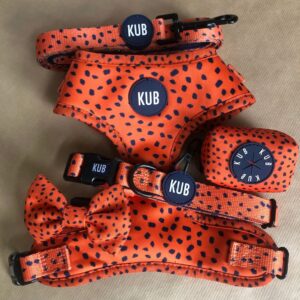 KUB Original Harness – Burnt Orange 4