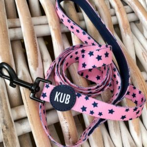 KUB Stars Lead – Pink Stars