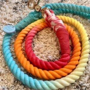 Rope lead – Rainbow 3