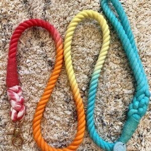 Rope lead – Rainbow 4