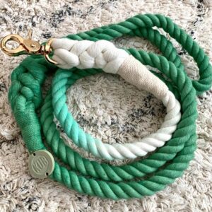 Rope lead – Spring Leafy 1