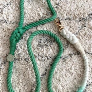 Rope lead – Spring Leafy 2